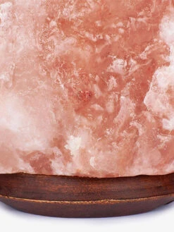 Yoga Studio Natural Himalayan Salt Lamp -Wellness Yoga Shop t544gxbkome