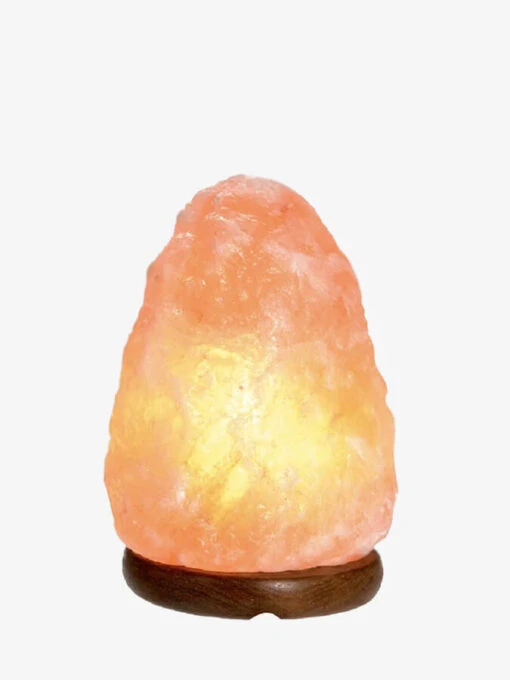 Yoga Studio Natural Himalayan Salt Lamp 4 Yoga Studio Natural Himalayan Salt Lamp -Wellness Yoga Shop yx2qoqxijzz