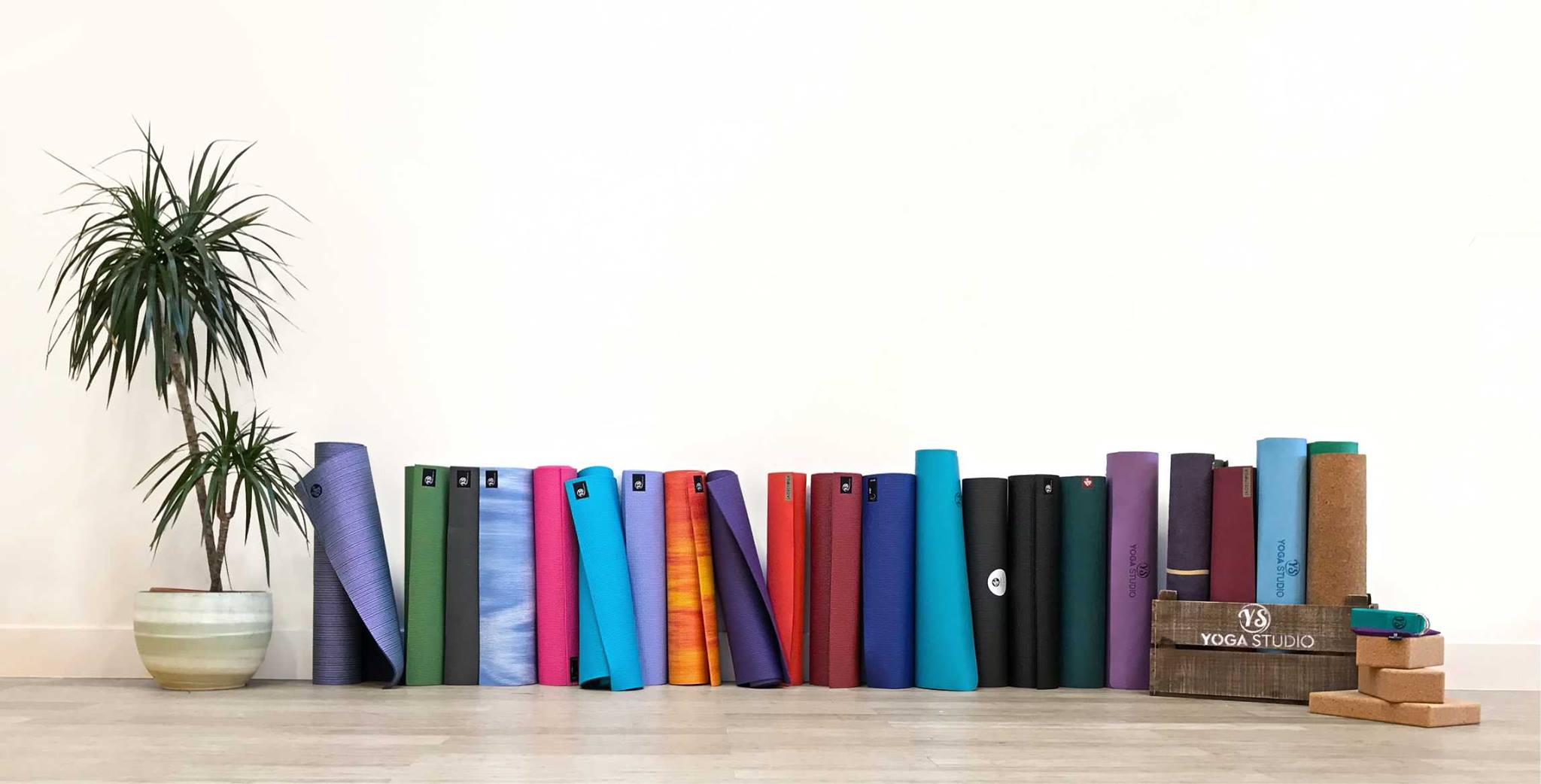 Wellness Yoga Shop -Wellness Yoga Shop 46733106 10155779638422483 5333385071279734784 n